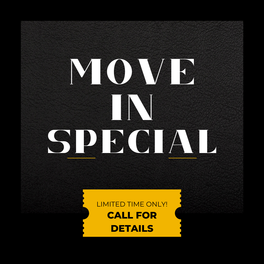 Yellow Black Friday Big Deal Instagram Post